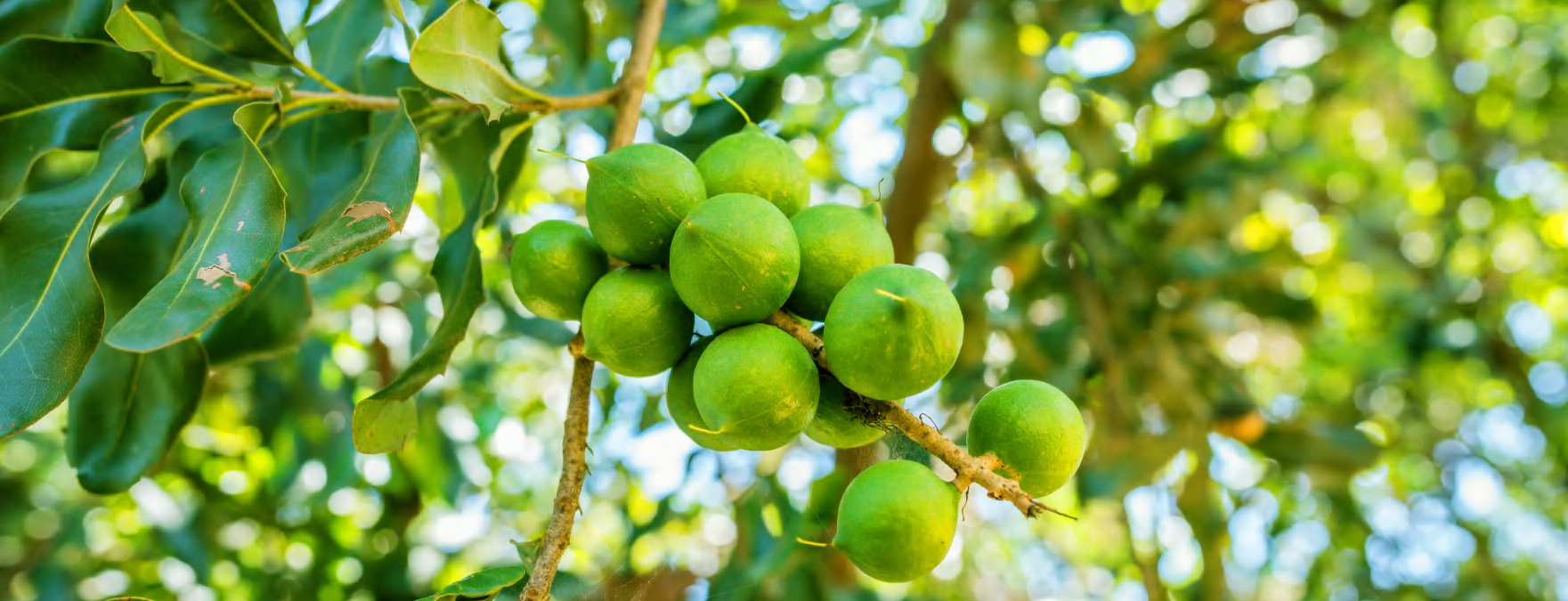 微信图片_20250605102610