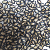 Watermelon Seeds