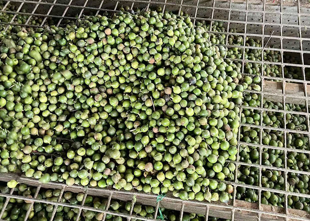 Display of WITHYOUNG&rsquo;s dried nuts and fruits product line