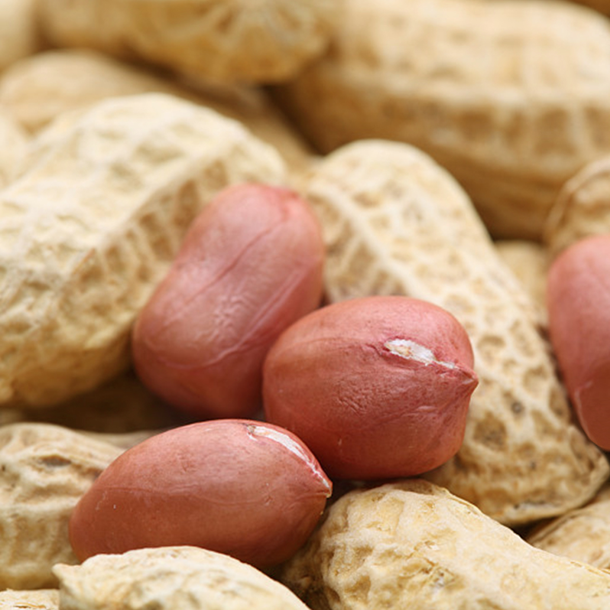 Peanuts Inshell
