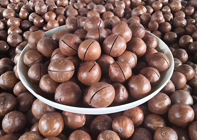 Display of WITHYOUNG&rsquo;s dried nuts and fruits product line