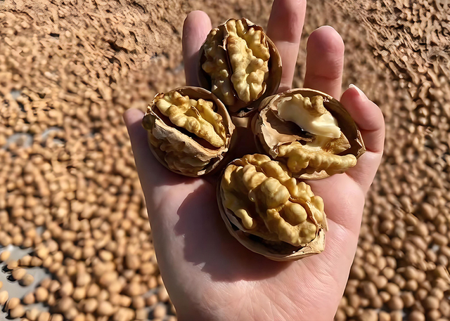 Display of WITHYOUNG&rsquo;s dried nuts and fruits product line