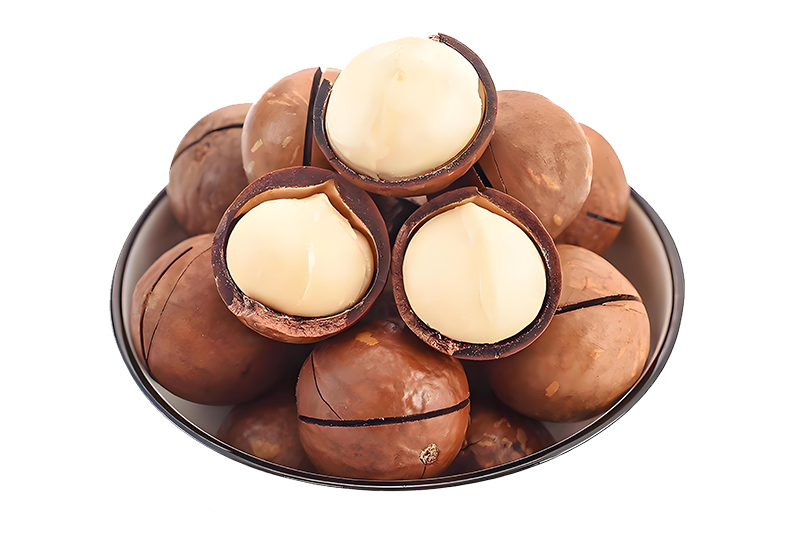 Macadamia
