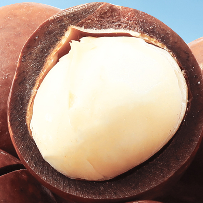 Macadamia Nuts (Inshell)