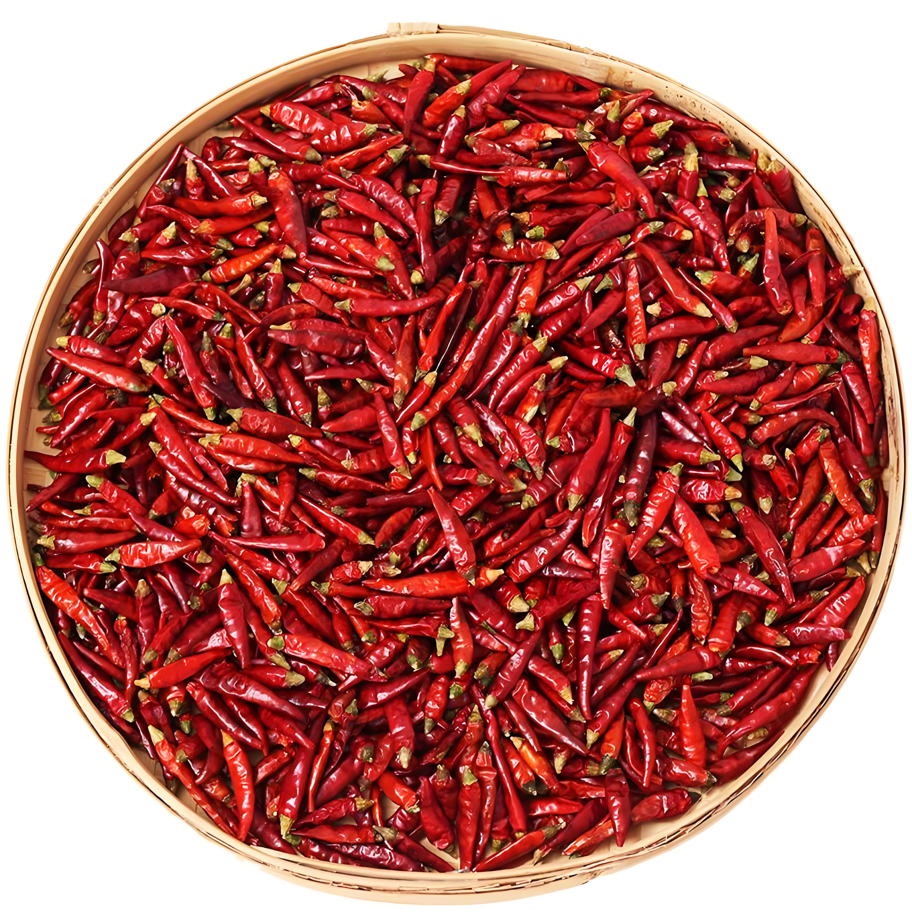 Dried Red Chilies