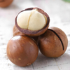 Macadamia