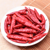 Dried Red Chilies