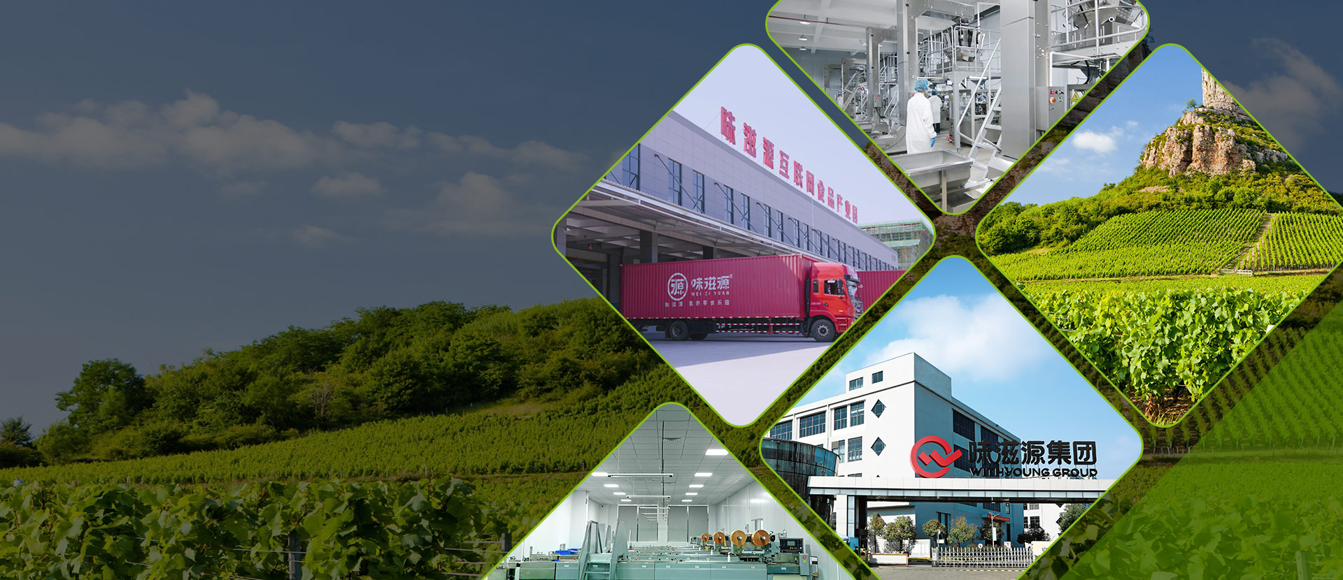 Organic dried fruits in eco-friendly packaging